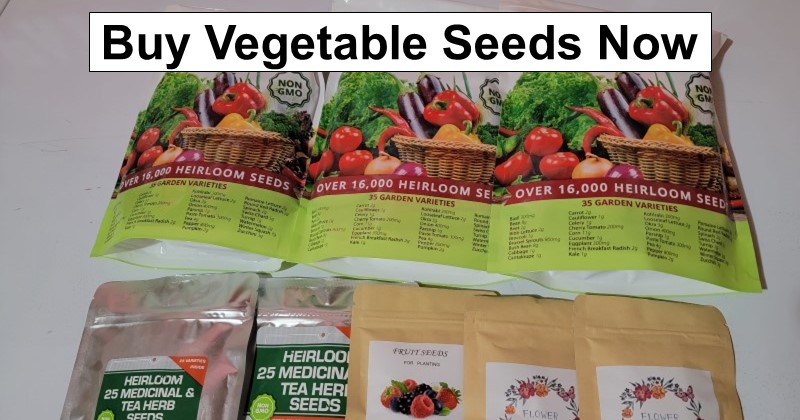 Buy Vegetable Seeds While You Still Can