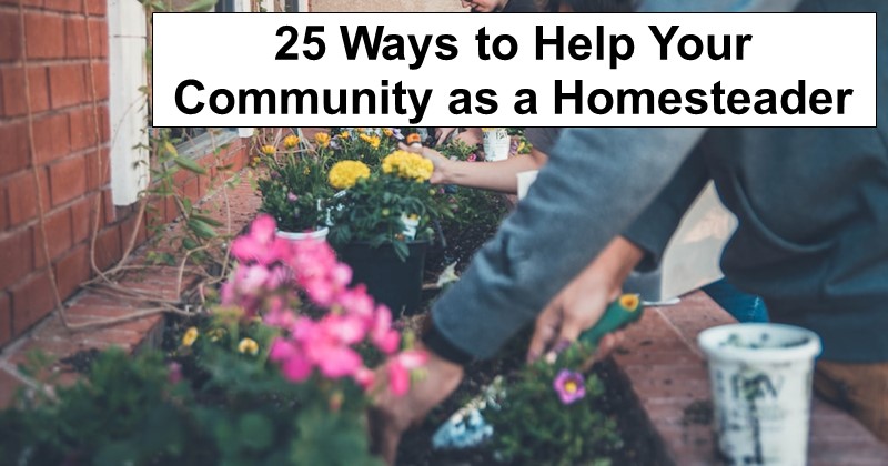 25 Ways You Can Help Your Community as a Homesteader