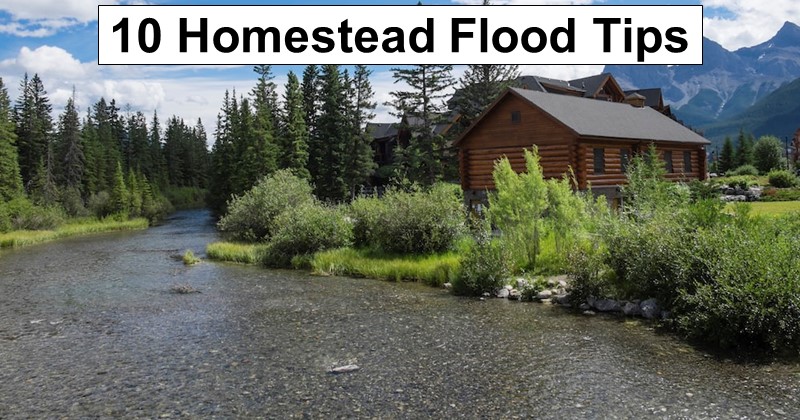 10 Tips for Avoiding Flooding on Your Homestead