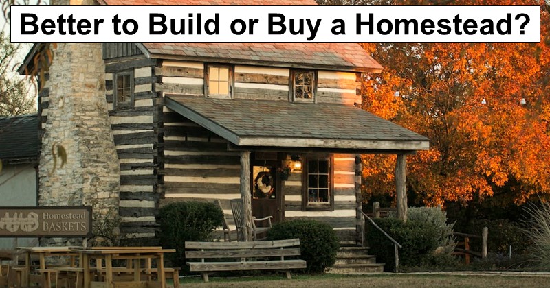 Is It Better to Build Your Homestead or Buy It?