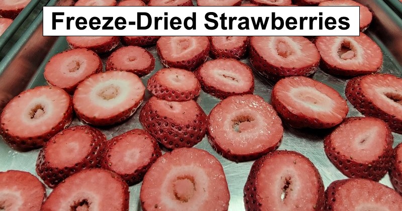 Freeze-Dried Strawberries