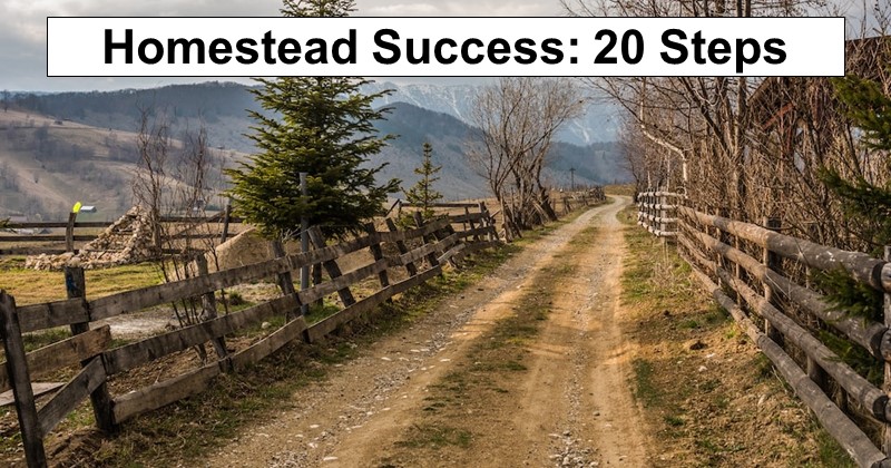 Homestead Success: 20 Steps for Summer and Fall