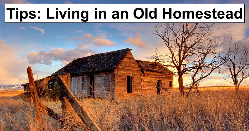 Living in an Old Homestead: 20 Tips for Updating While Preserving Its History