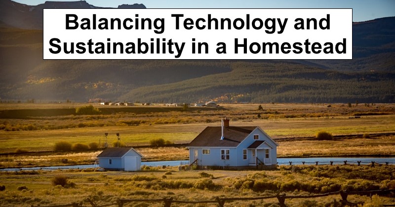 Balancing Technology and Sustainability in a Homestead Build