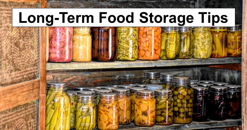 Long-Term Food Storage Tips and Advice