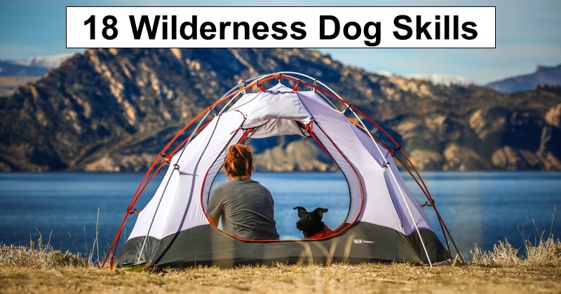 18 Essential Dog Commands (for the Wilderness and more)