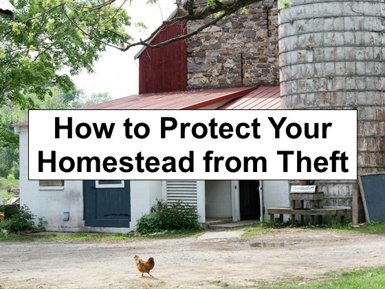 Everything You Need to Know About Protecting Your Homestead from Theft