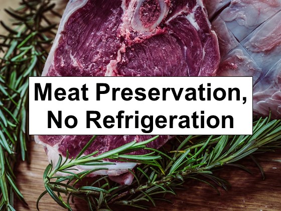 Meat Preservation, No Refrigeration – Only One Ingredient