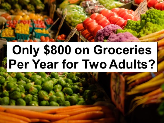 Only $800 on Groceries Per Year for Two Adults?