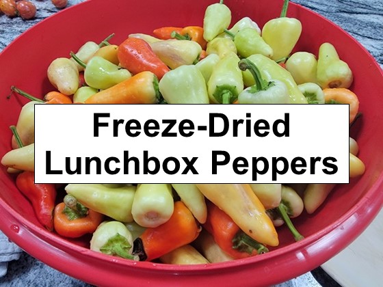 Freeze-Dried Lunchbox Peppers