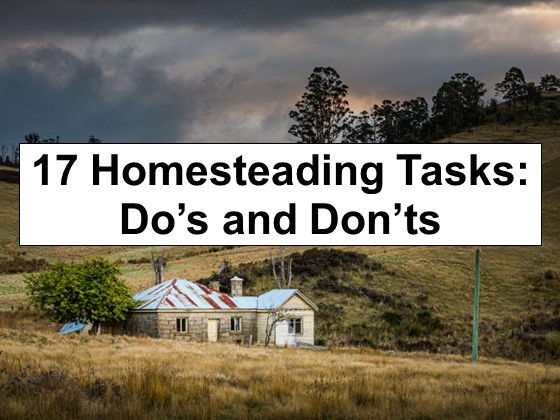 Building Your Own Homestead: 9 Tasks You Can DIY and 8 Tasks You Shouldn’t