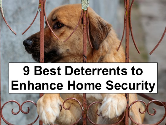 9 Best Deterrents to Enhance Your Home Security