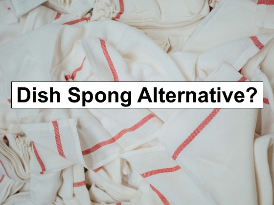 Dish Sponge Alternative?