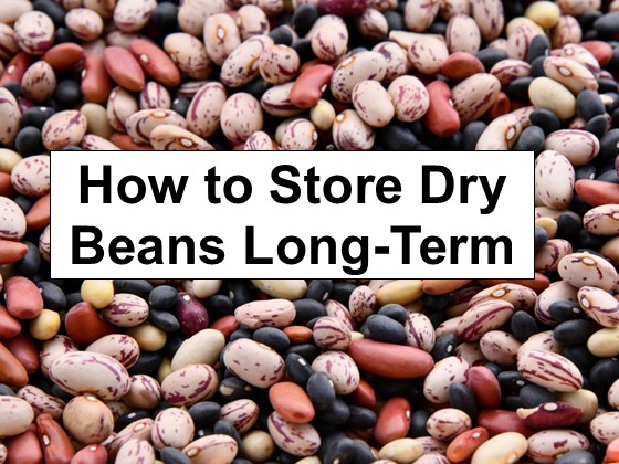 How to Store Dry Beans Long-Term