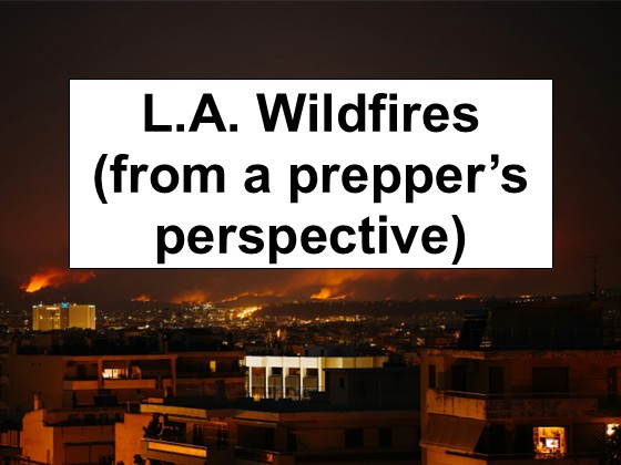 LA Wildfires (from a prepper’s perspective)