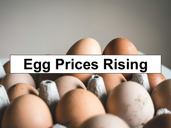 Are Rising Egg Prices a Sign of Worse to Come?