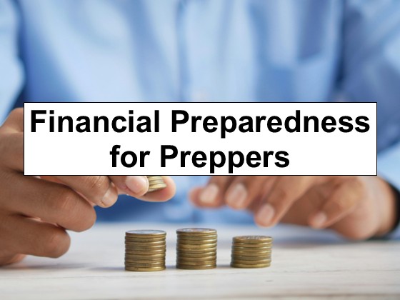 Financial Preparedness Strategies for Preppers