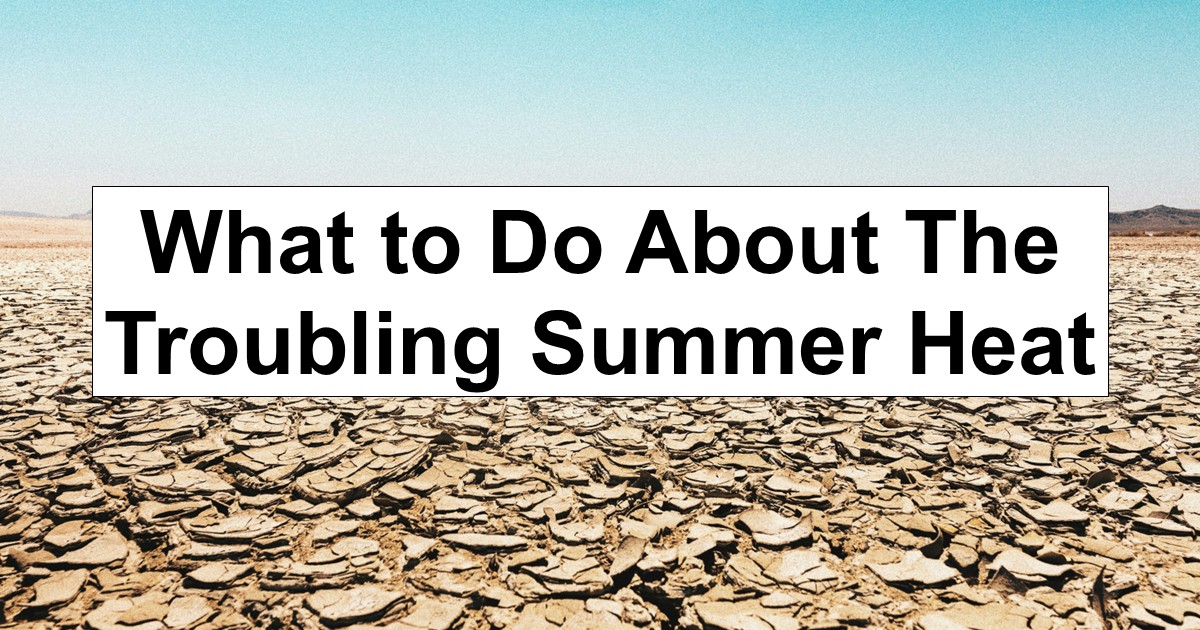 Troubling Summer Heat