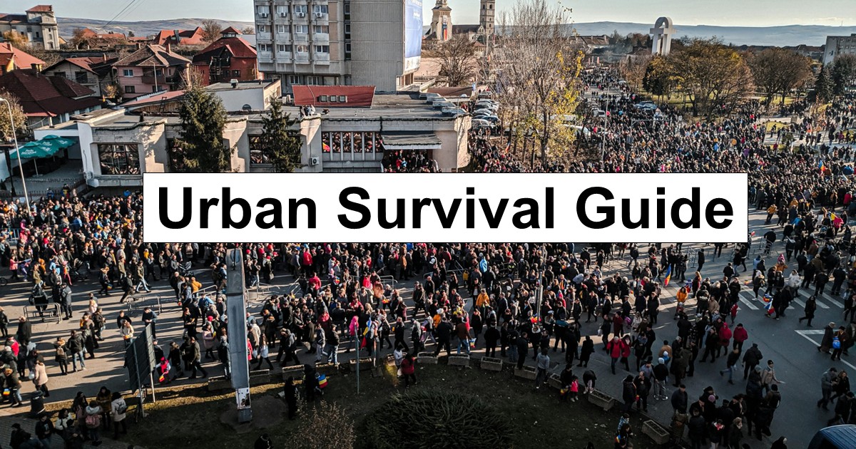 Urban Survival Guide: Why Your Actions Today Determine Your Fate Tomorrow