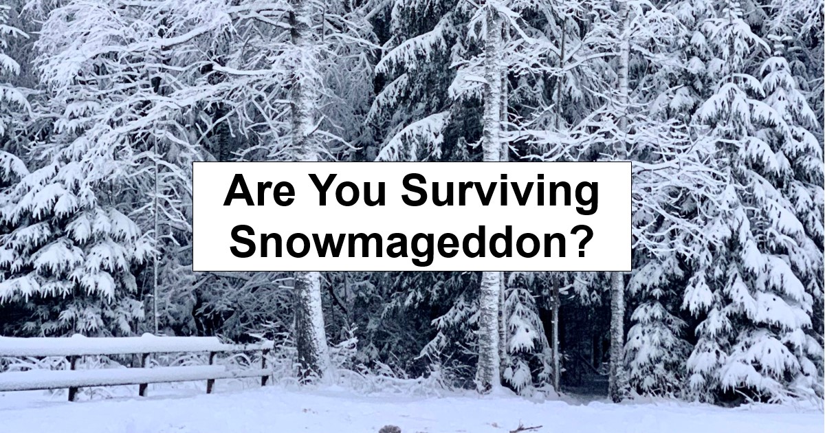 Are You Surviving “Snowmageddon”?