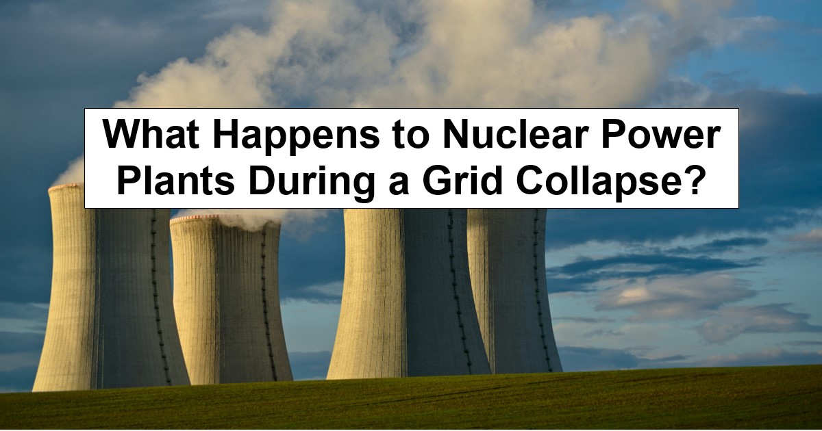 What Happens to Nuclear Power Plants During a Grid Collapse?