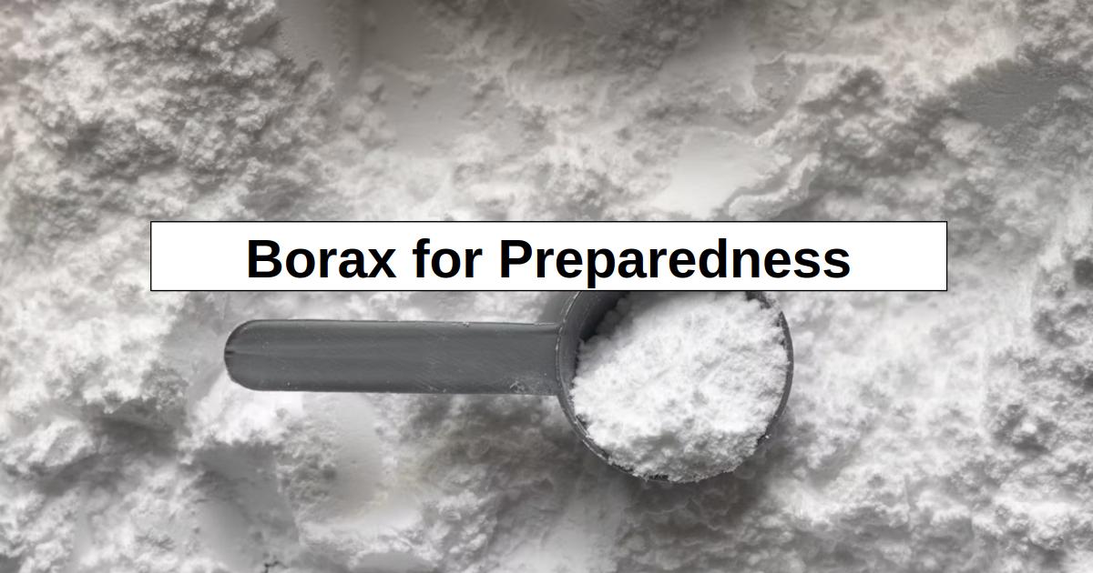 Borax for Prepping (16 Uses)