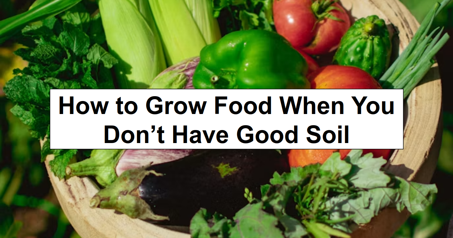 How to Grow Food When You Don’t Have Good Soil